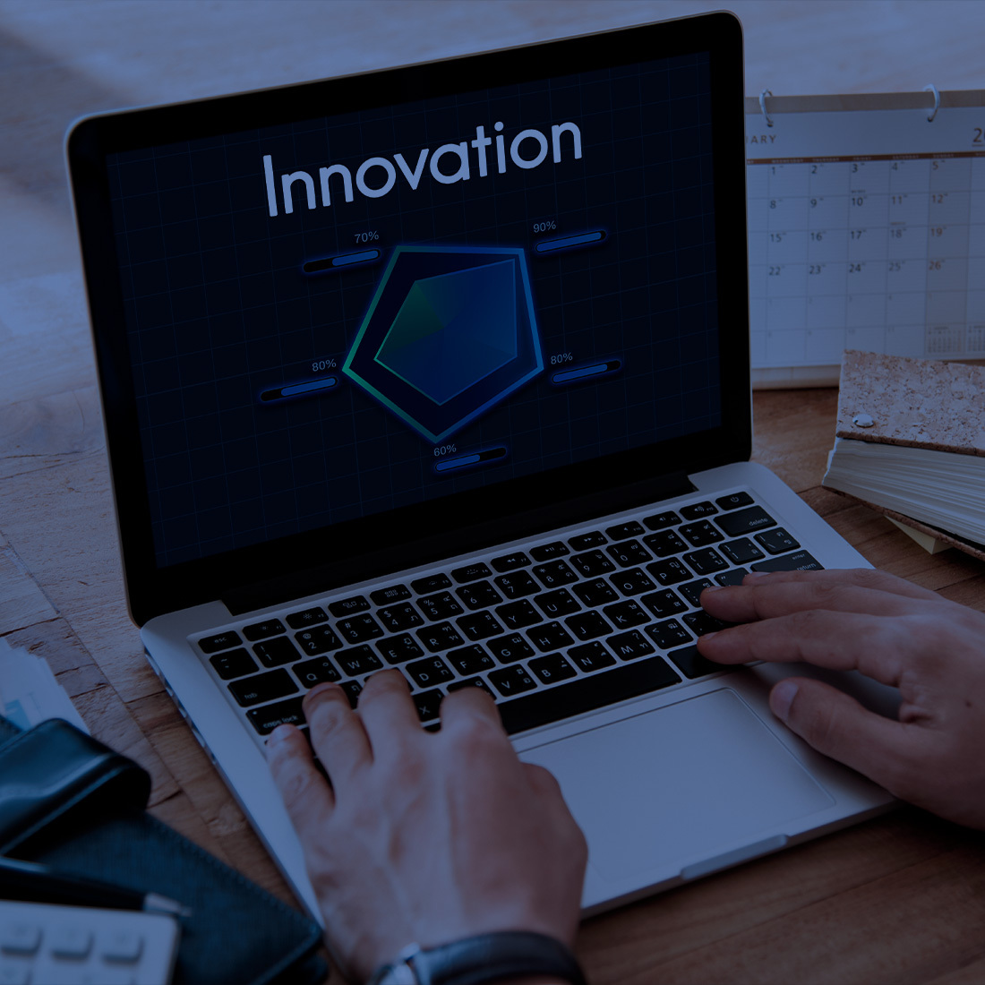 Software Product Innovation