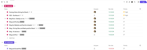 Organization & Structure